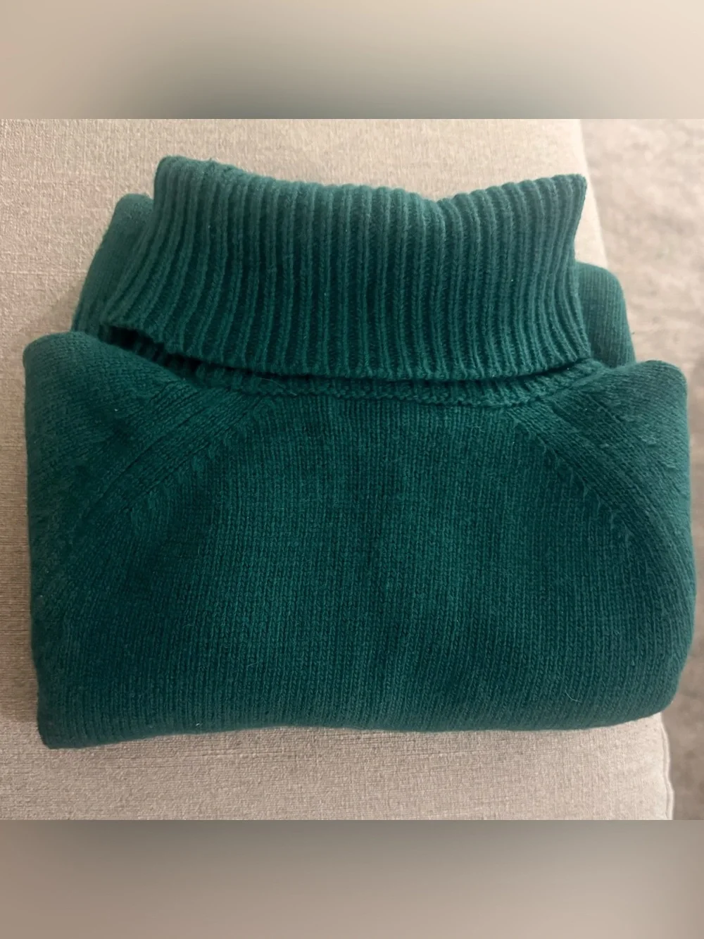 J. Crew classic turtleneck